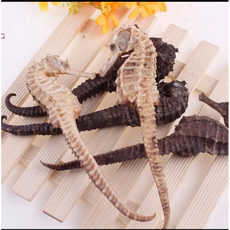 

100 G GR GRAM 海马 HAI MA KUDA LAUT KERING DRIED SEA HORSE