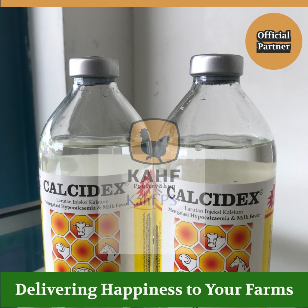 Calcidex 500 ml Larutan Injeksi Kalsium Sapi Kambing Kuda