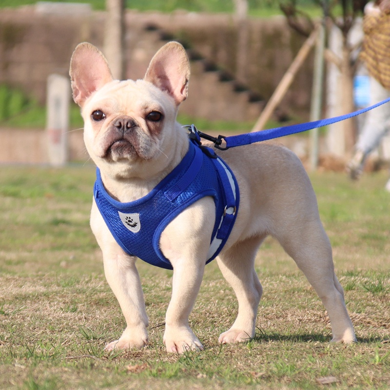 Tali Rompi Dada Reflektif Breathable Untuk Anjing Peliharaan