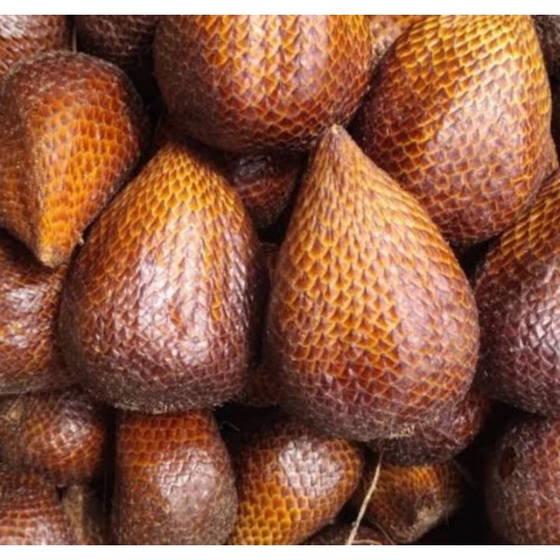 

Buah Salak Pondoh Manis Super Segar Renyah Pilihan perkilo