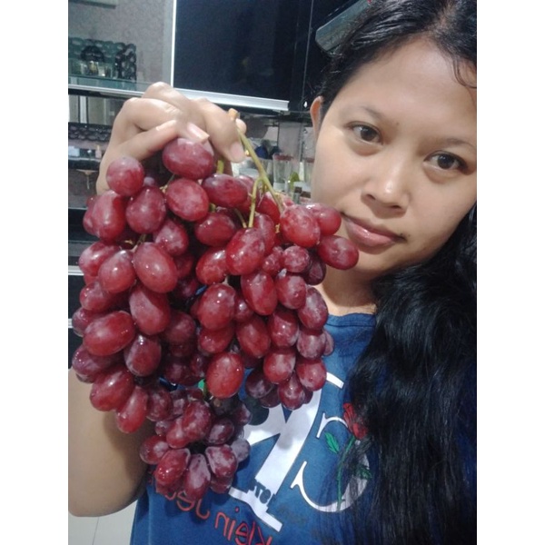 

Anggur import varian crimson