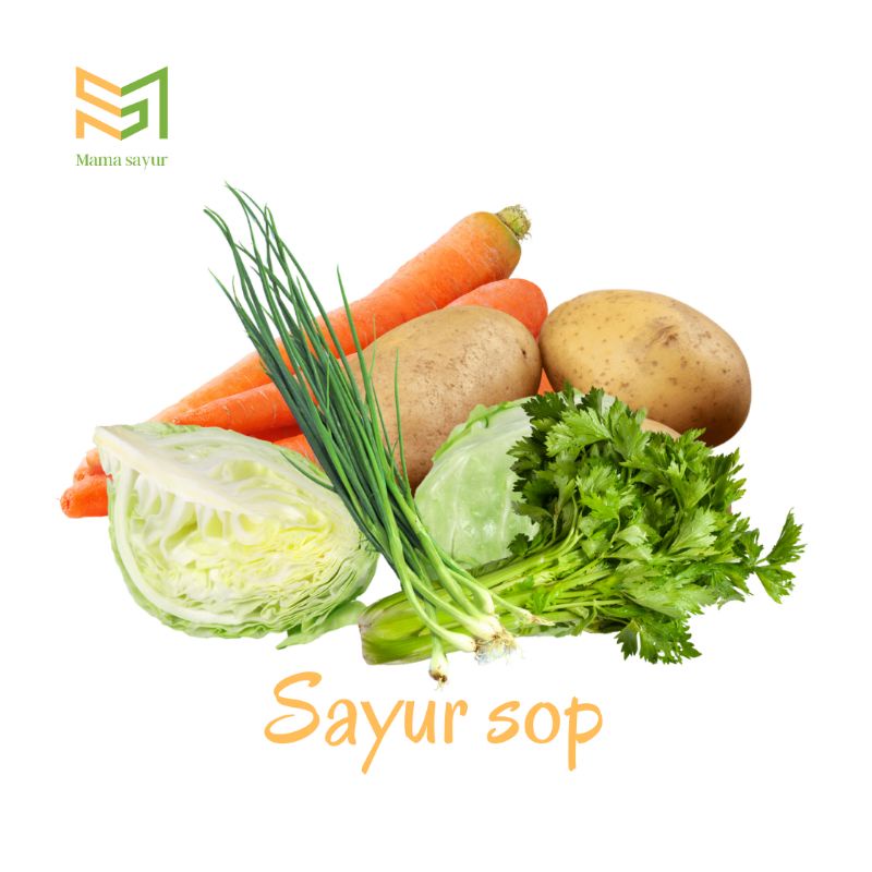 

Paket sayur sop