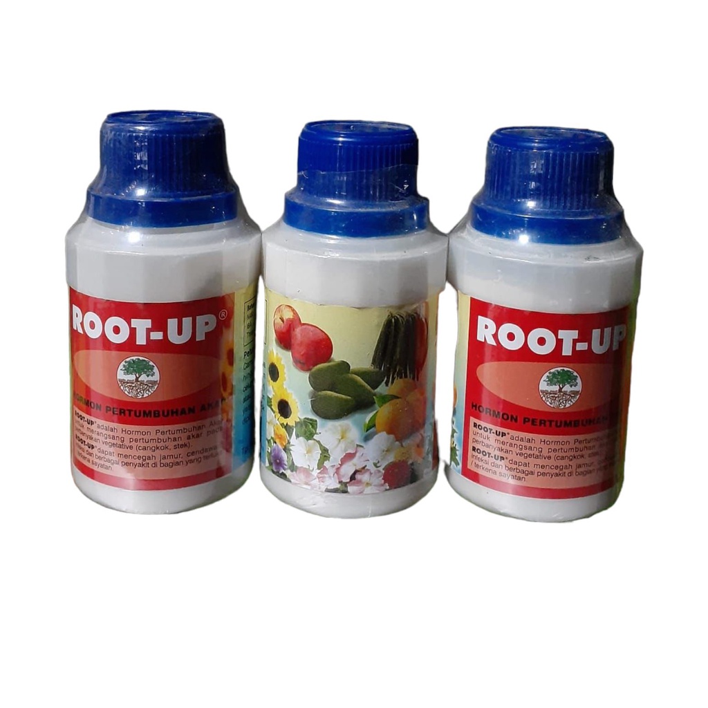 Root Up Original Hormon Pertumbuhan Akar 100 Gram