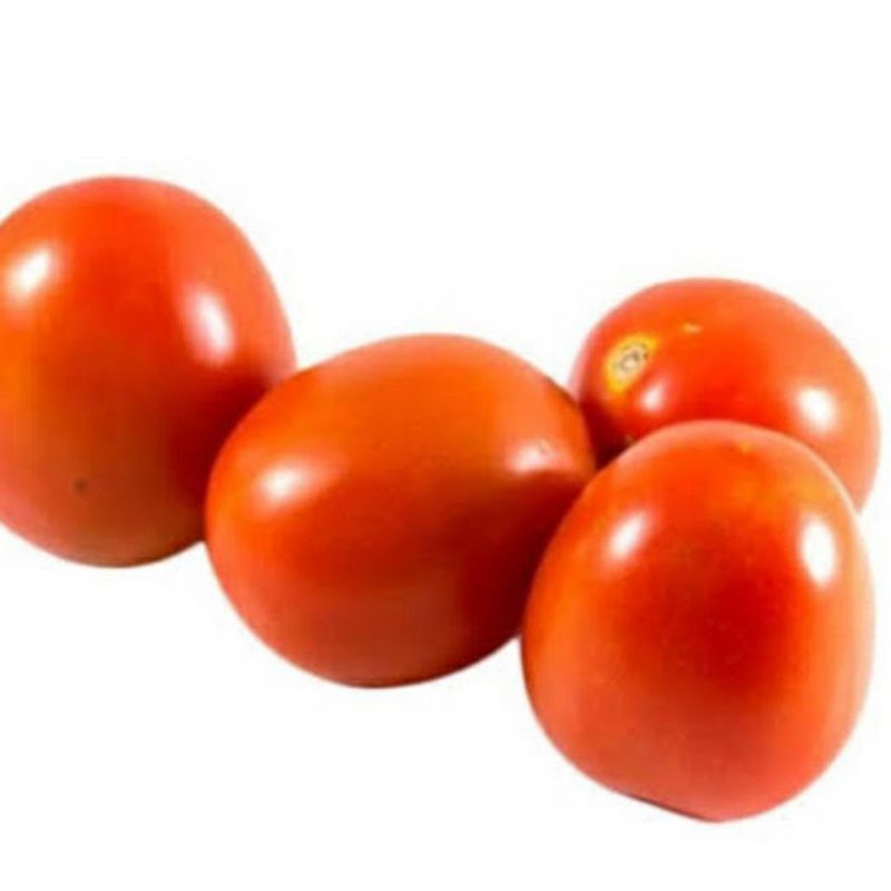 

TOMAT MERAH
