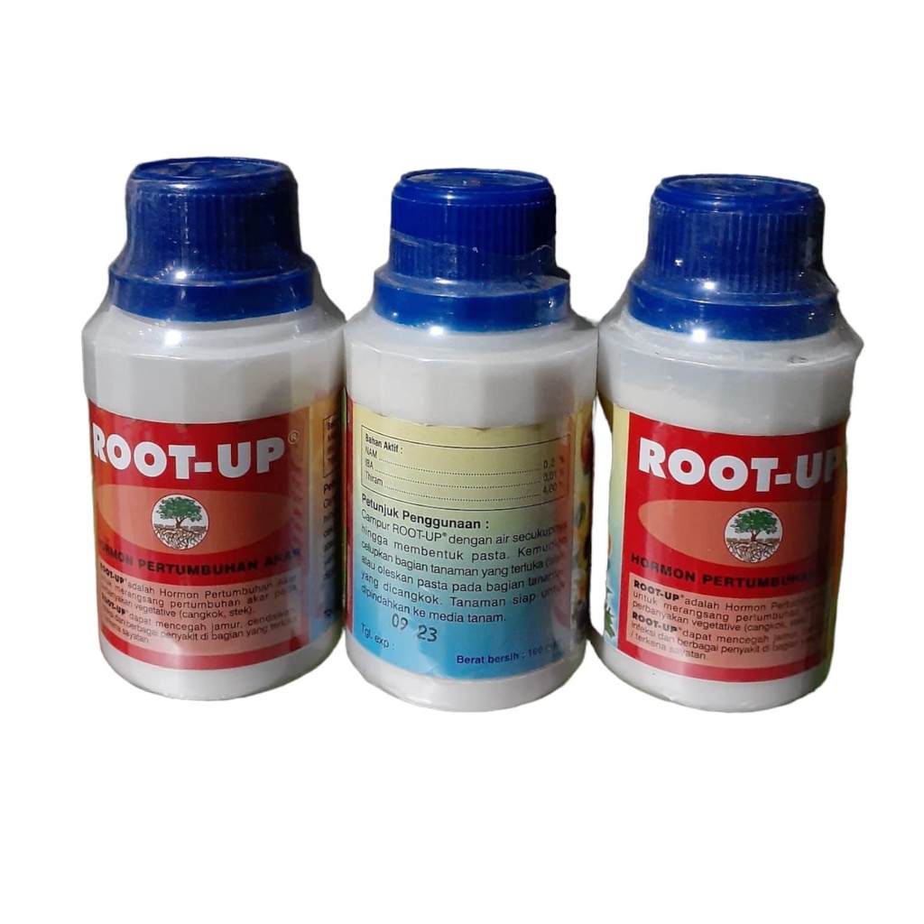 Root Up Original Hormon Pertumbuhan Akar 100 Gram