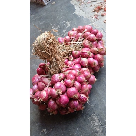 

bawangmerahlokalnganjuk