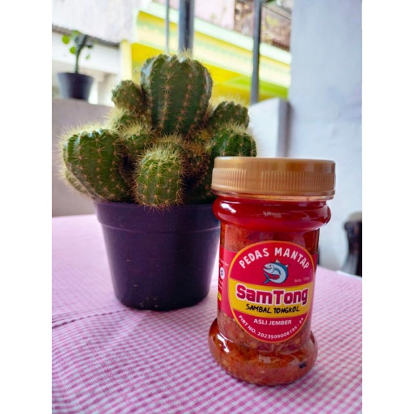 

SamTong(Sambal Tongkoll)