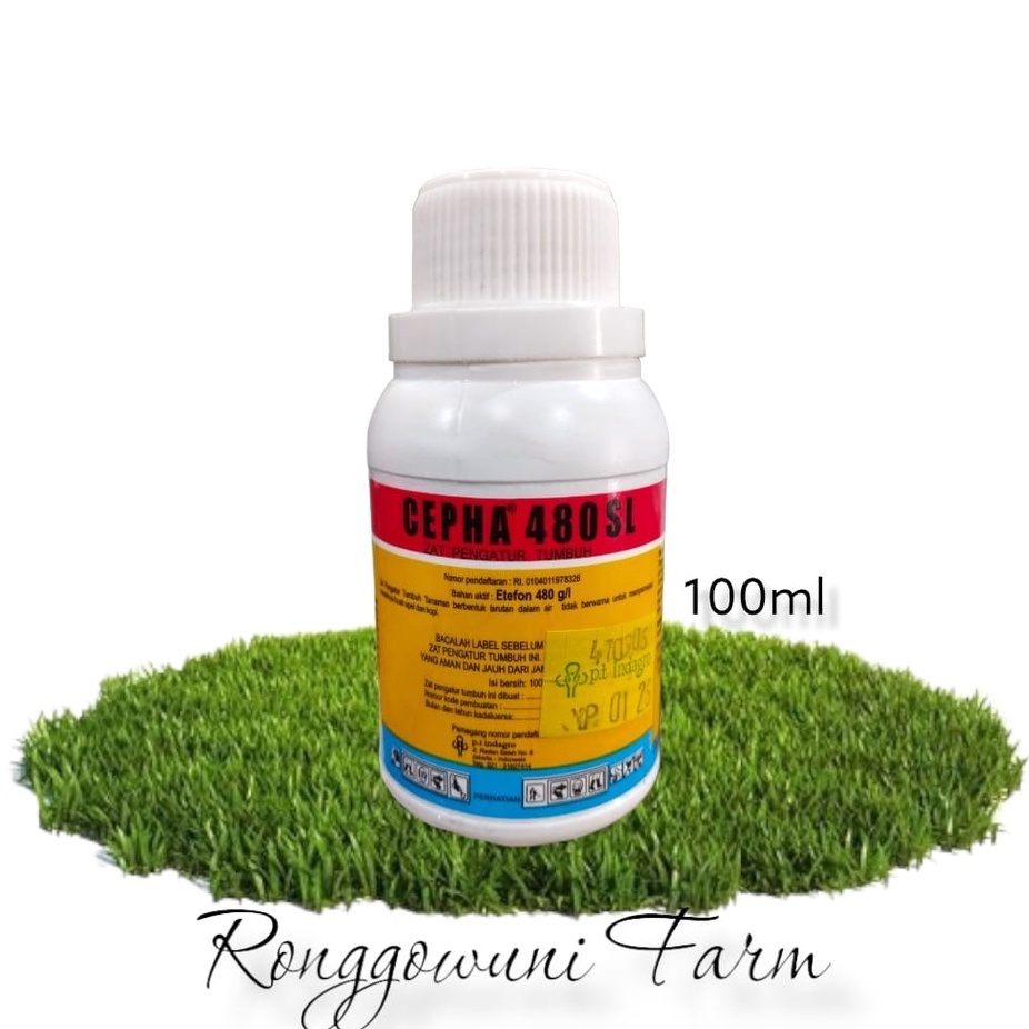 CEPHA 480 SL PEMATANG BUAH
