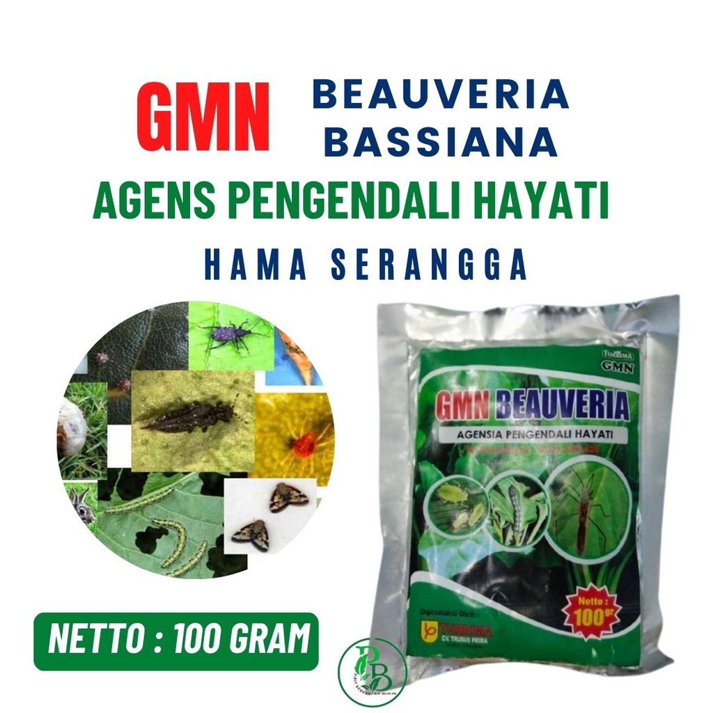 Pupuk Hama Untuk Bunga Cegah Agas Jamur, Obat Pencegah Hama Trips Tanaman Anggur