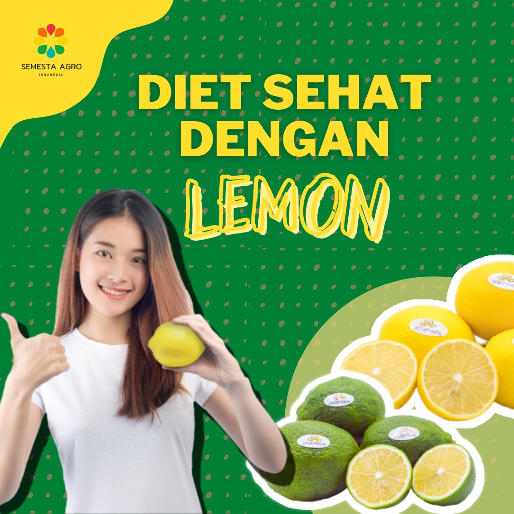 

Lemon Segar Fresh dari Kebun Sendiri | Lemon Lokal | Lemon Diet | Buah Segar
