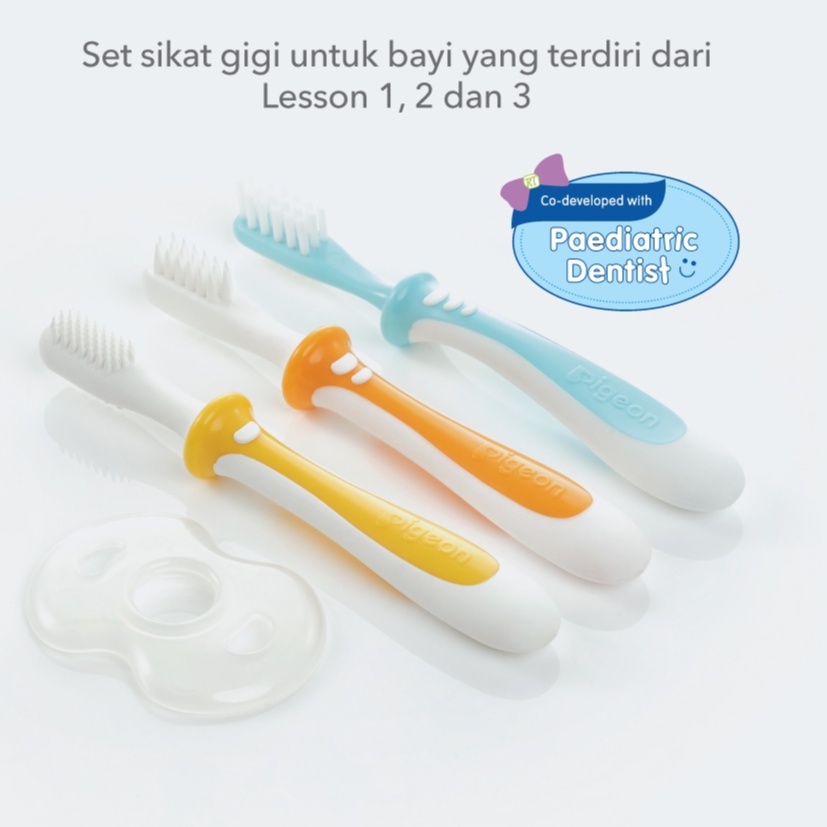 PIGEON TRAINING TOOTHBRUSH LESSON 123 SET MIX