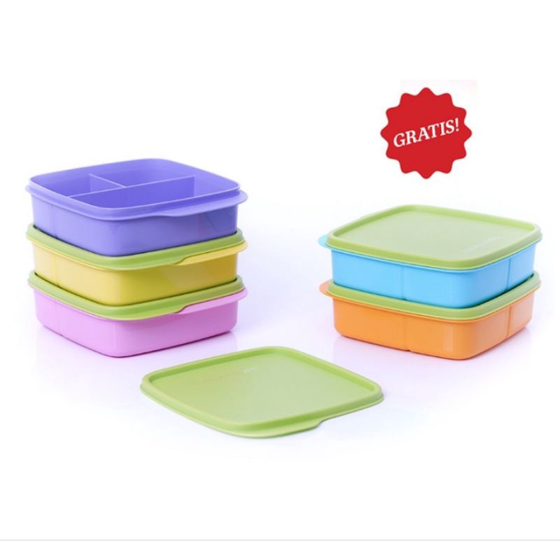 lolly tup tupperware / tempat makan tupperware