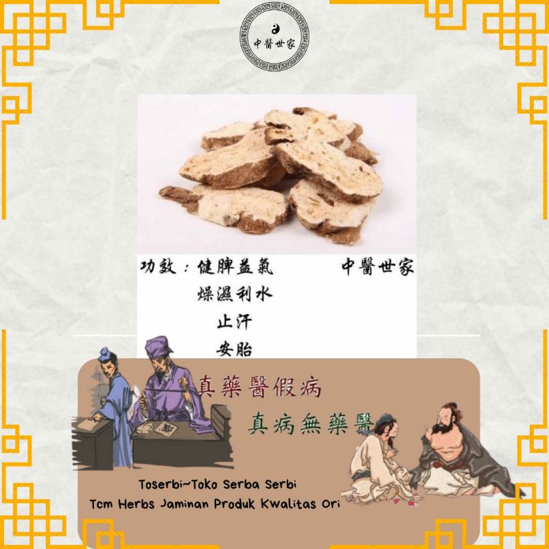 

100gr 白术 Bai Zhu Largehead Atractylodes Rhizome White Atractylodis Rhizoma Atractylodis Macrocephalae