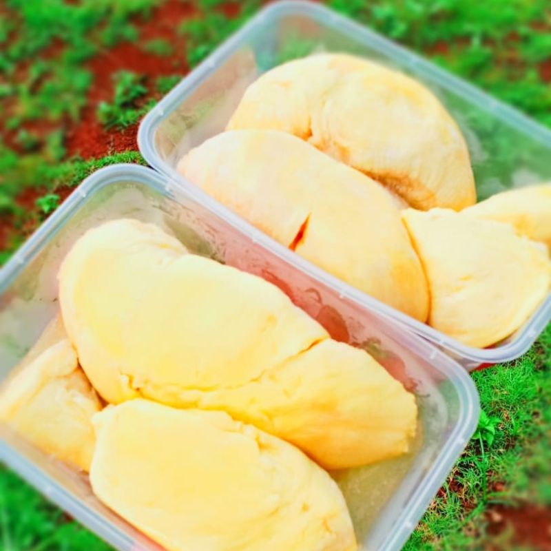 

Durian Kupas Montong Parigi / Duren Kupas Montong Bali