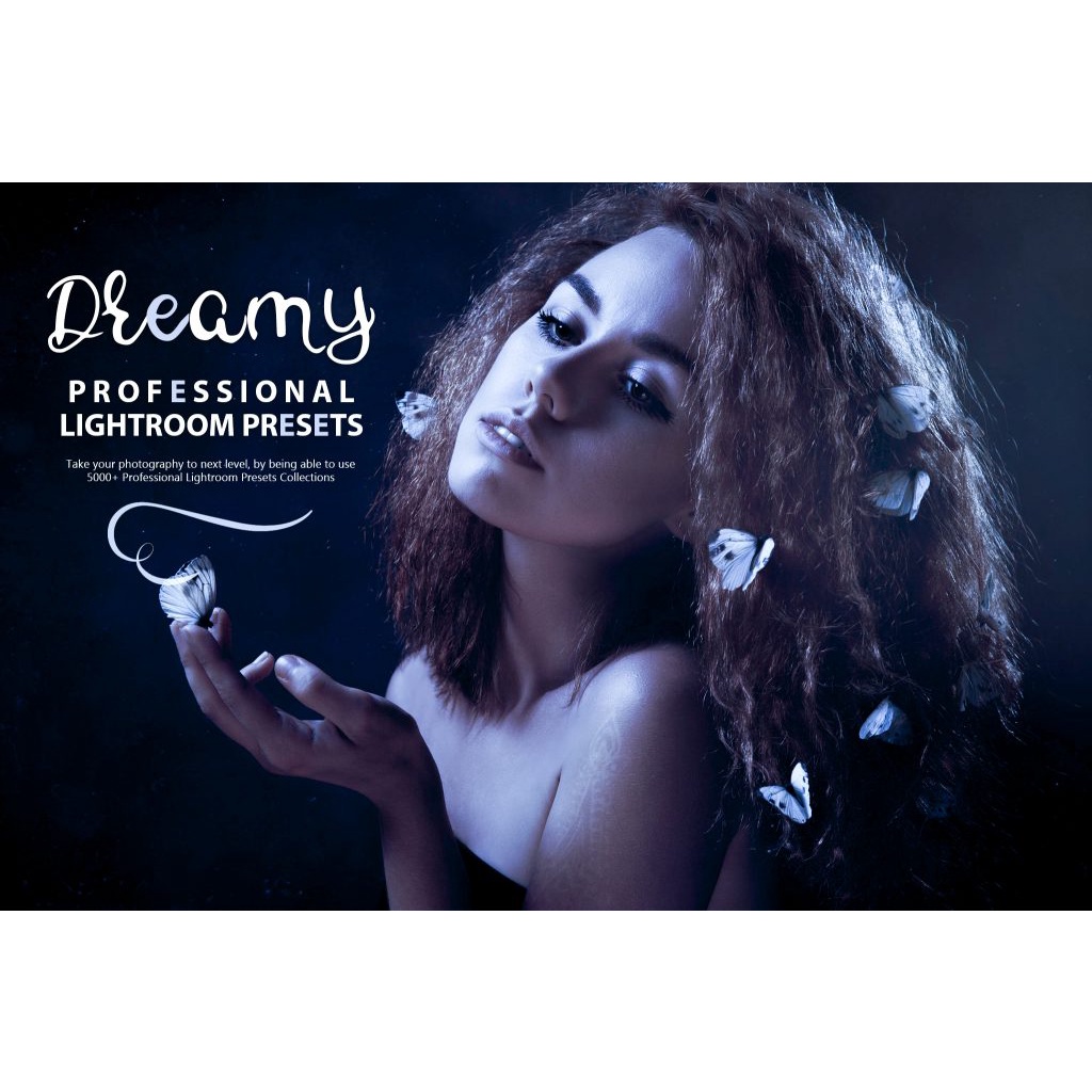 InkyDeals 3000 Professional Lightroom Presets