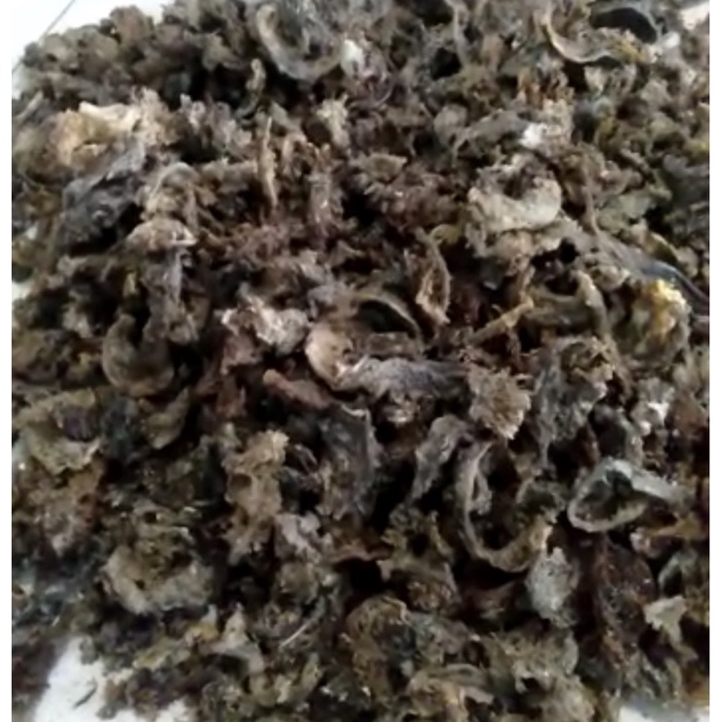 Parfum Walet bentuk Sarang Walet Gua Asli / parfum walet / sarang walet imitasi / sirip walet / arom