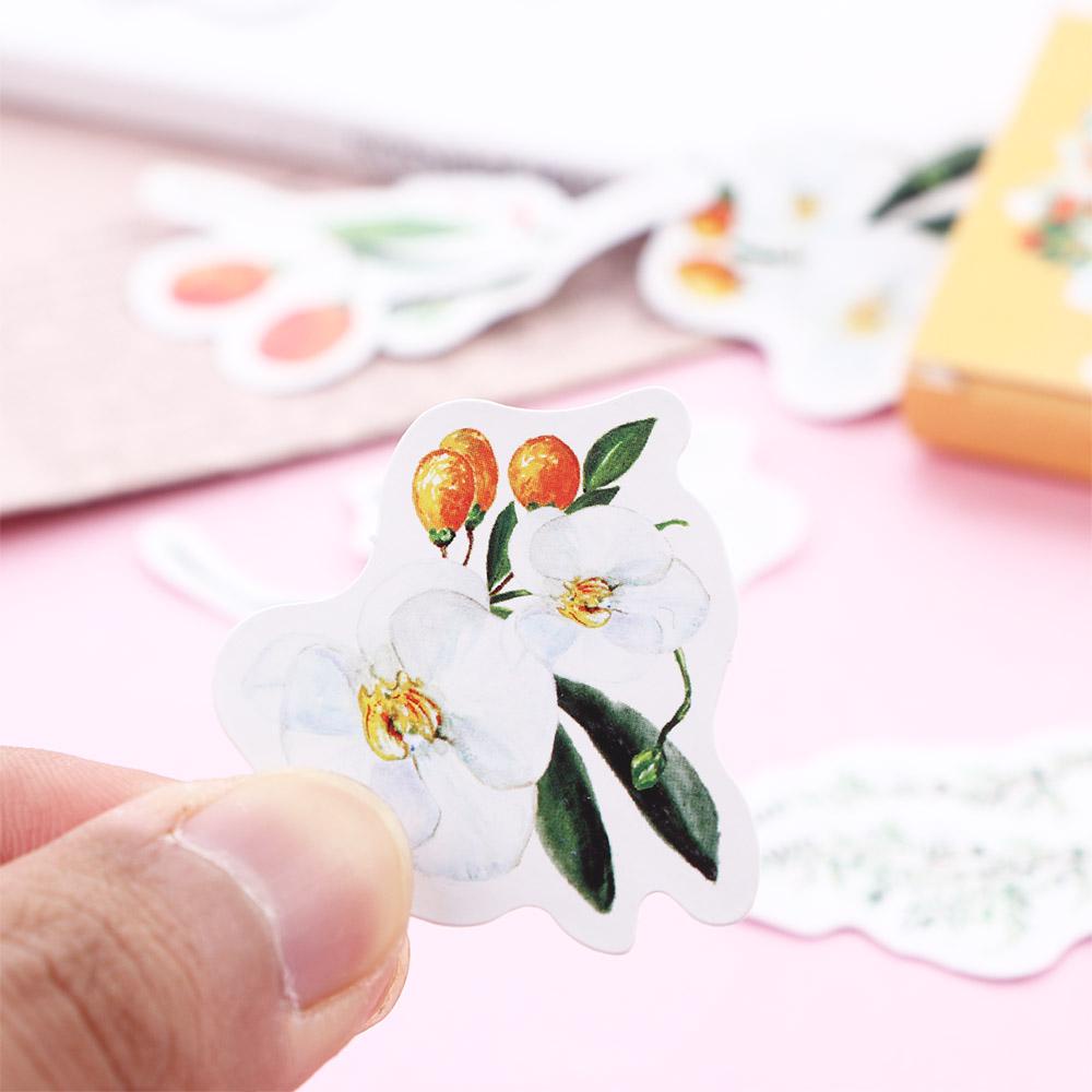 Lanfy Bunga Alat Tulis Stiker Hadiah Korea Scrapbooking Kumquat Jurnal Perlengkapan Sekolah