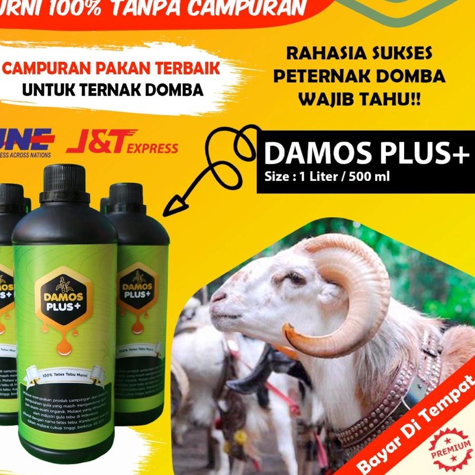 MVB MOLASE TETES TEBU VITAMIN PENGGEMUK DOMBA ANDALAN PETERNAK - DAMOS PLUS ORIGINAL MURNI TANPA CAM