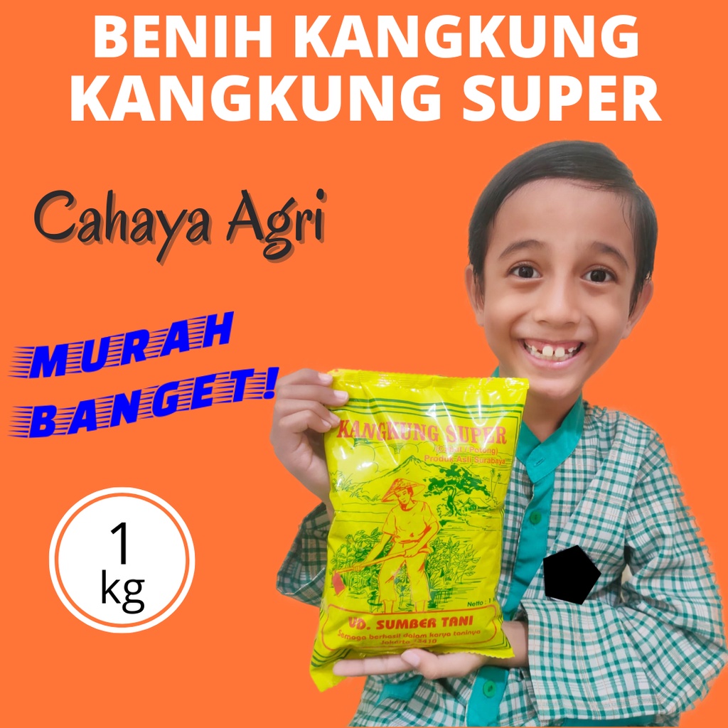 Jual Cahaya Agri Benih Kangkung Kangkung Super Kg Kemasan Pabrik Sumber Tani Bibit