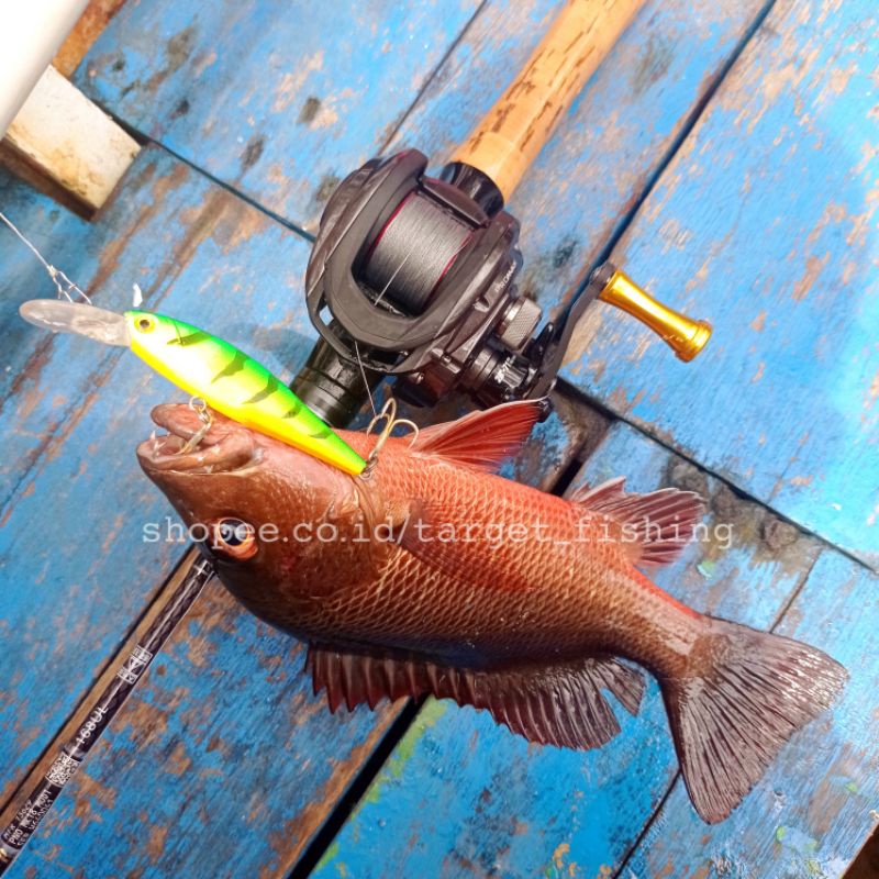 Minnow Floating GACOR 10gr / 10cm Umpan Casting Mangrove Jack Minow Muara