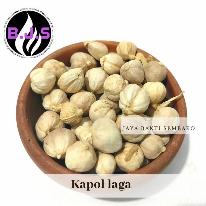 

TERLARIS KAPOLAGA PUTIH 50GR/PAK PENGIRIMAN CEPAT