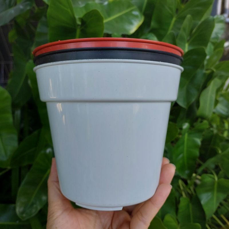 Pot Tinggi Srondol 15 Pot Bibit Pot Bunga Basic Polos Warna Hitam Putih Merah Bata