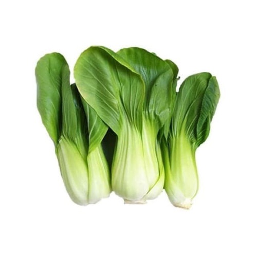 

Sayur Pakcoy / Pak Choy / Pokcoy / Bok Choy