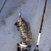 (Flash Sale)HENGJIA 5Pcs 7cm/4.3g Classical Minnow Umpan Pancing Swimbait Fishing Lure Sinking Bass Ikan Kail