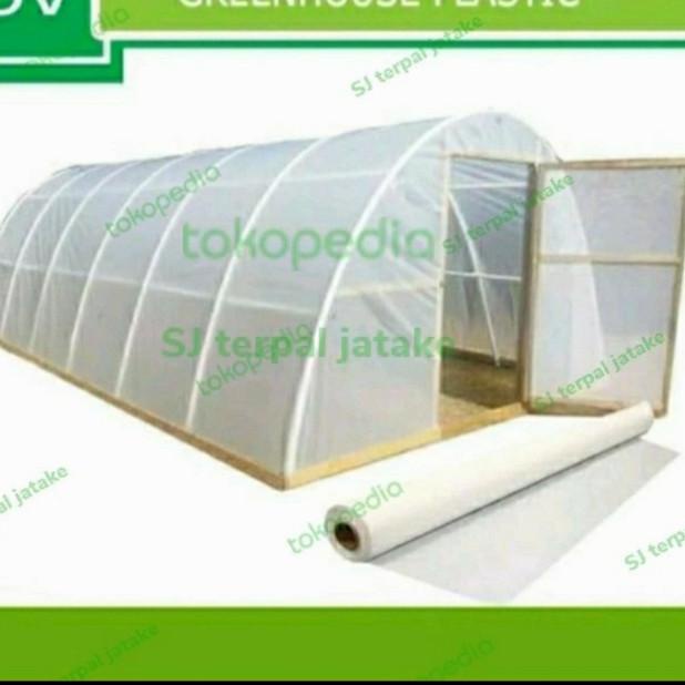 

PLASTIK UV LEBAR 4 METER 200 MICRON TEBAL HARGA KUALITAS BAIK