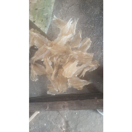 

ikan kering kalapan tawar.