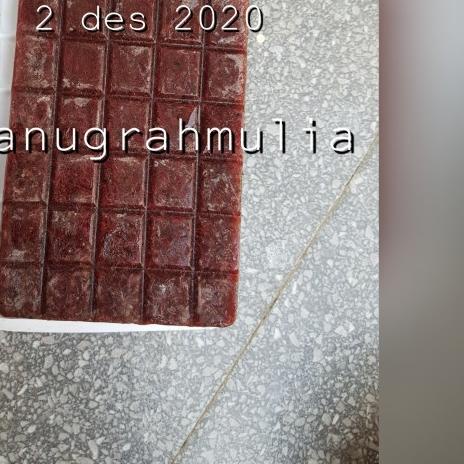 cacing darah beku cabek tray frozen bloodworm pakan ikan cupang koi