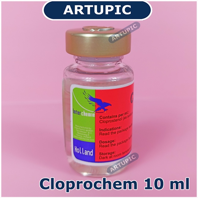 Cloprochem 10 ml Pemacu Birahi Hormon Supplemen Ternak Hewan Sapi Babi Domba Kuda Mengatasi Gangguan Reproduksi ovarium Mengakhiri kebuntingan Semu Menangani gangguan post partus pada uterus induksi kelahiran Cloprostenol