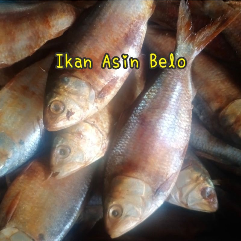 

Ikan Asin Belo 1kg