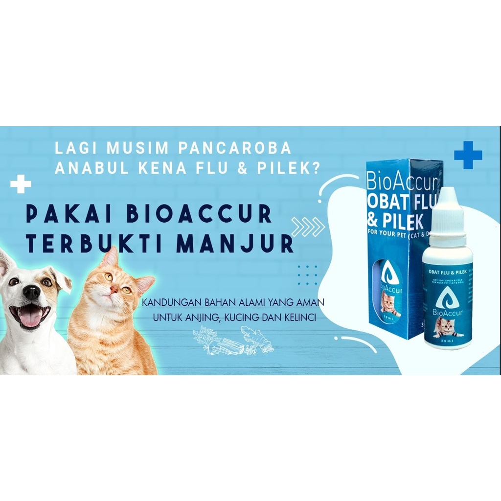 BioAccur Obat Flu &amp; Pilek Kucing/Anjing/Kelinci 30ml - Bio Accur