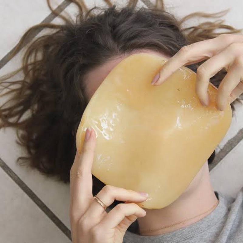Kombucha Pekanbaru / Scoby Mini / Scoby Kecil / Scoby Masker/ Scoby Toner / Bibit Scoby / Bibit Teh 
