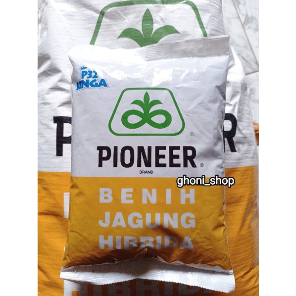 Benih jagung pioneer P32 singan