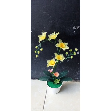 bunga anggrek stoking