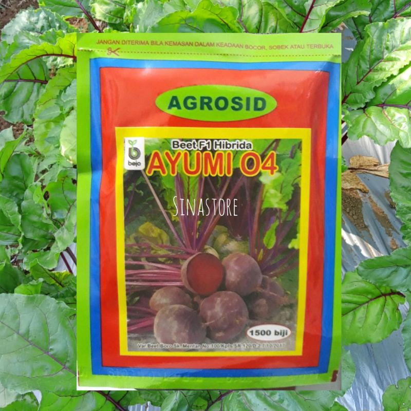 Benih Buah Bit/Beet Root Ayumi F1 Repack Isi 100Biji