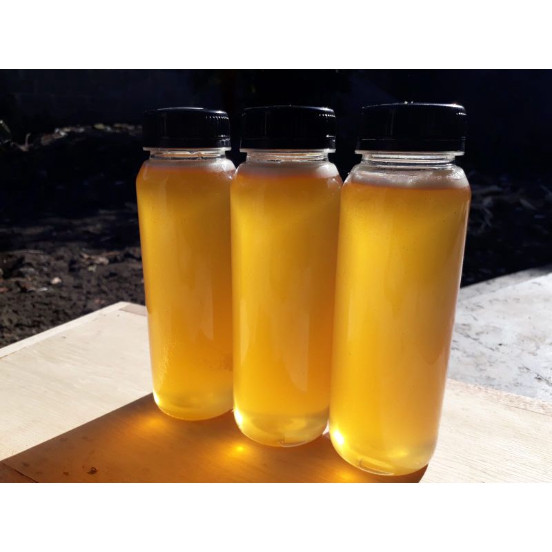 

madu liar/madu locok hasil bolang