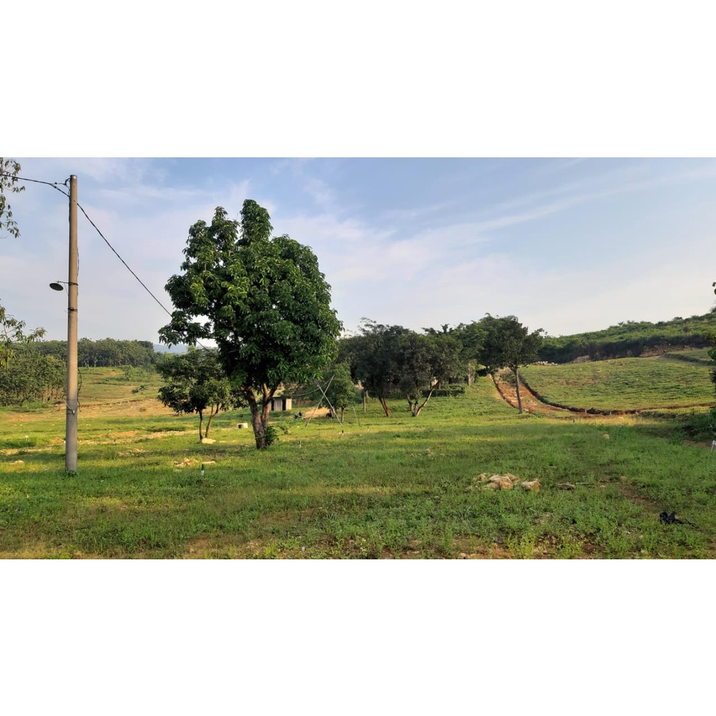 Tanah Kavling Cibubur Kawasan Industri