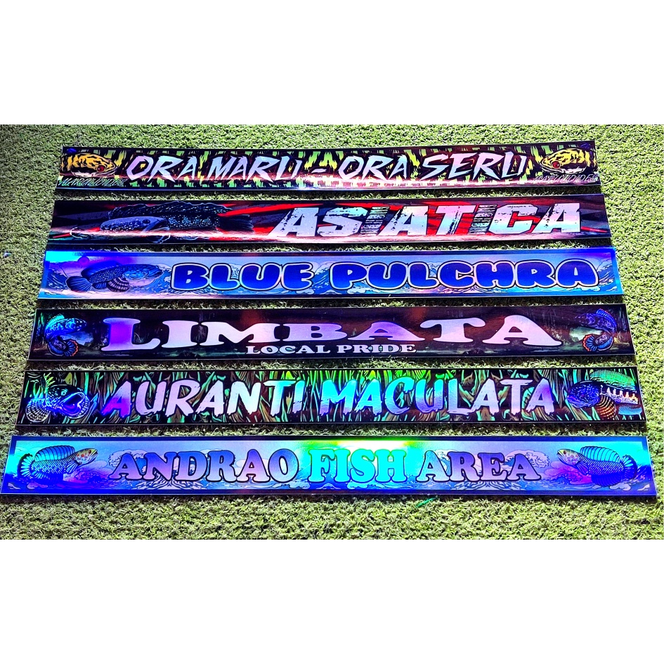 STIKER AKUARIUM HOLOGRAM IKAN CHANNA