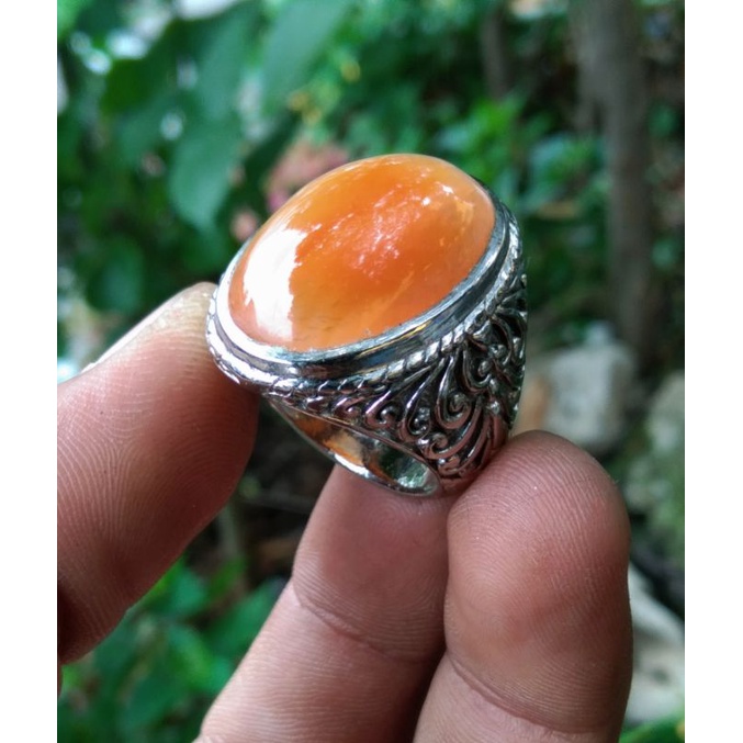 Batu Cincin Pandan Nanas Asli Natural Rawatan