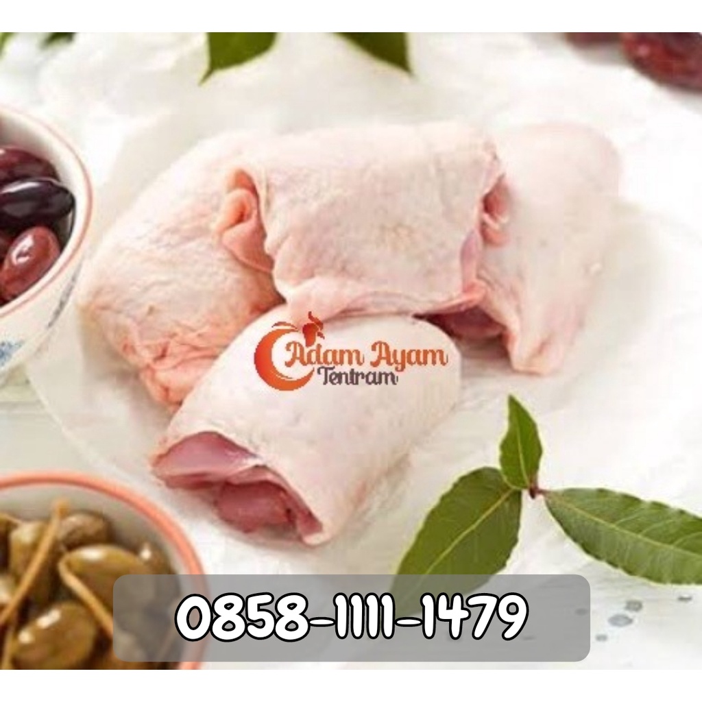 

Paha Ayam Atas