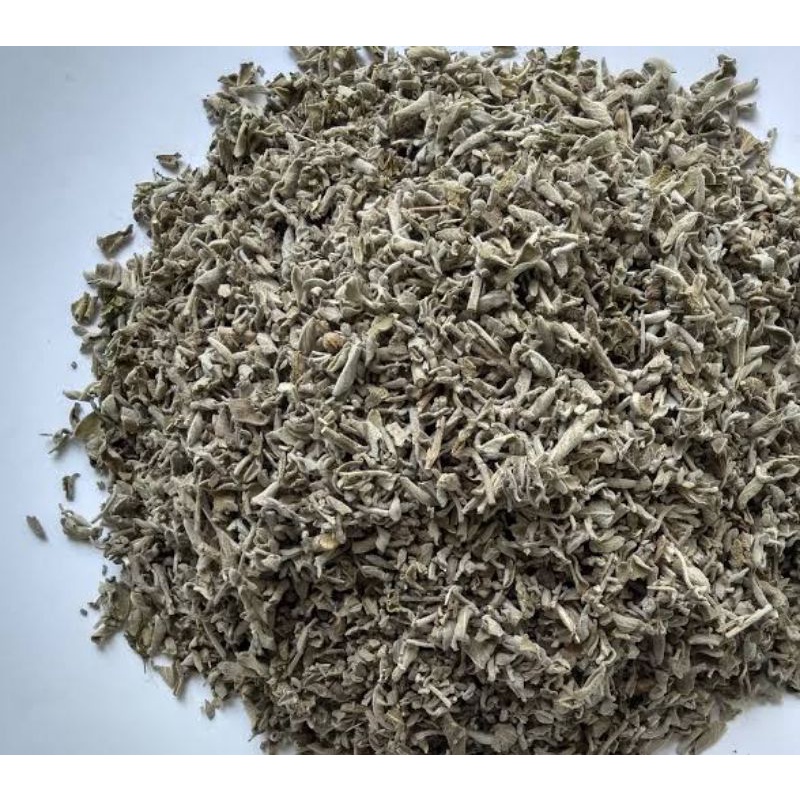 Jual Sage Dried / Daun Sage Kering Shopee Indonesia