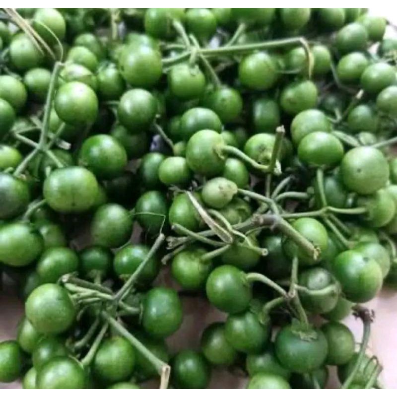 

leuncha segar lalapan