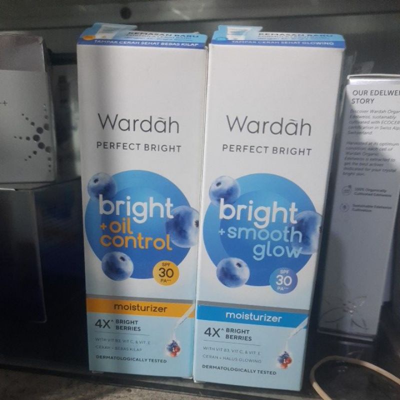 Wardah Perfect Bright/ Tone Up Cream/Moisturizer 20 g