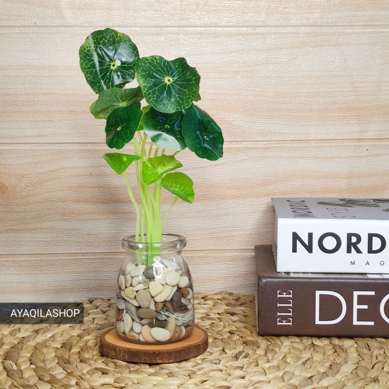 1 PAKET VAS BUNGA AESTHETIC TANAMAN AIR PLASTIK HIDROPONIK / HIASAN DEKORASI MEJA