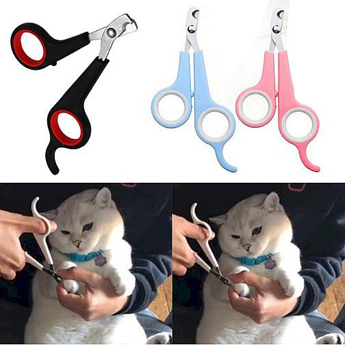 Gunting Kuku Pemotong Kucing Anjing Hewan Set Grooming Alat Potong Kikir Murah Bagus Pet Nail Cat Dog Kitten Kecil Besar Cutter FEZONE