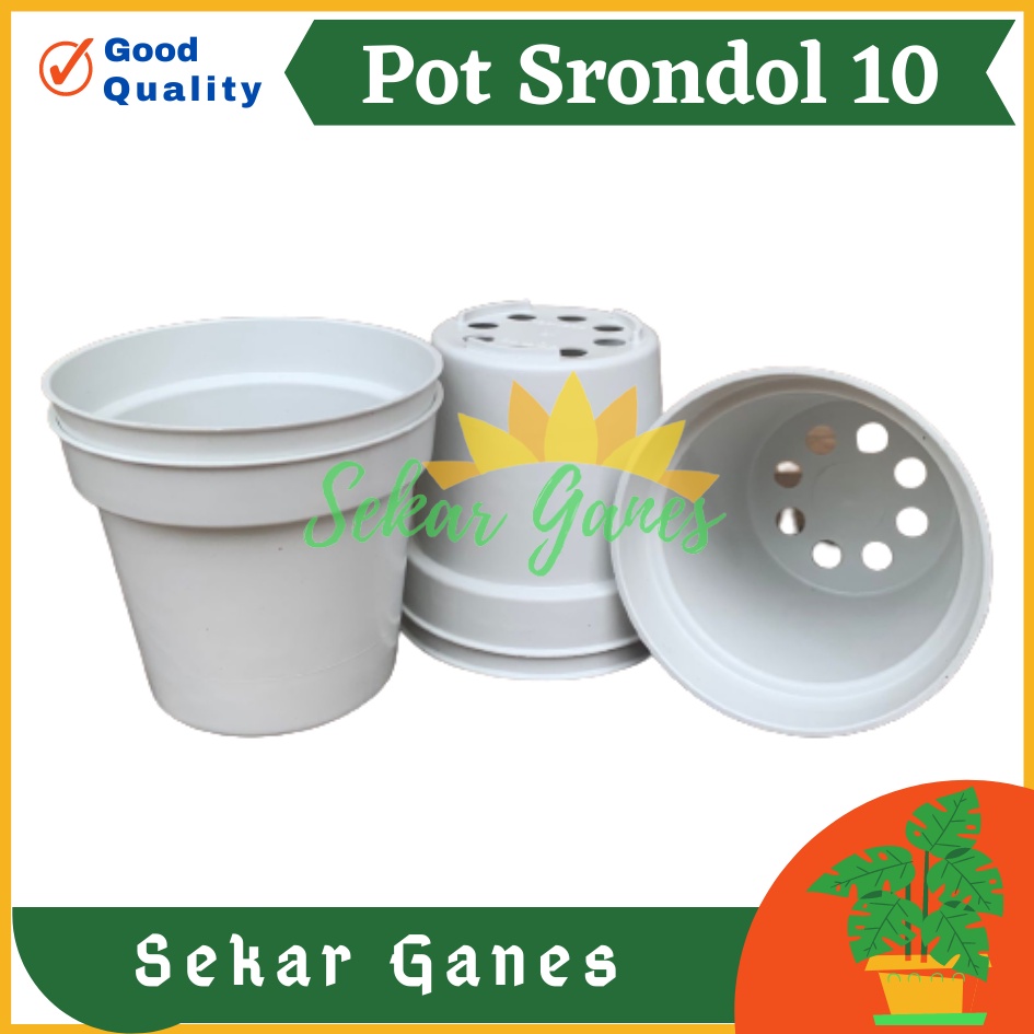 POT BUNGA 10cm PUTIH Pot Tanaman Hias Grosir Murah Plastik Pot 10 cm MURAH