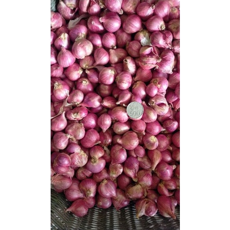 

Bawang BREBES Super per 1/2 kg